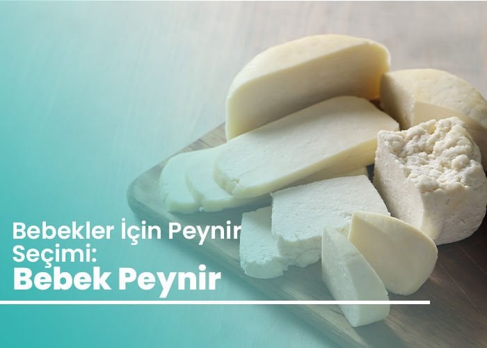 Bebekler İçin Peynir Seçimi: Bebek Peyniri