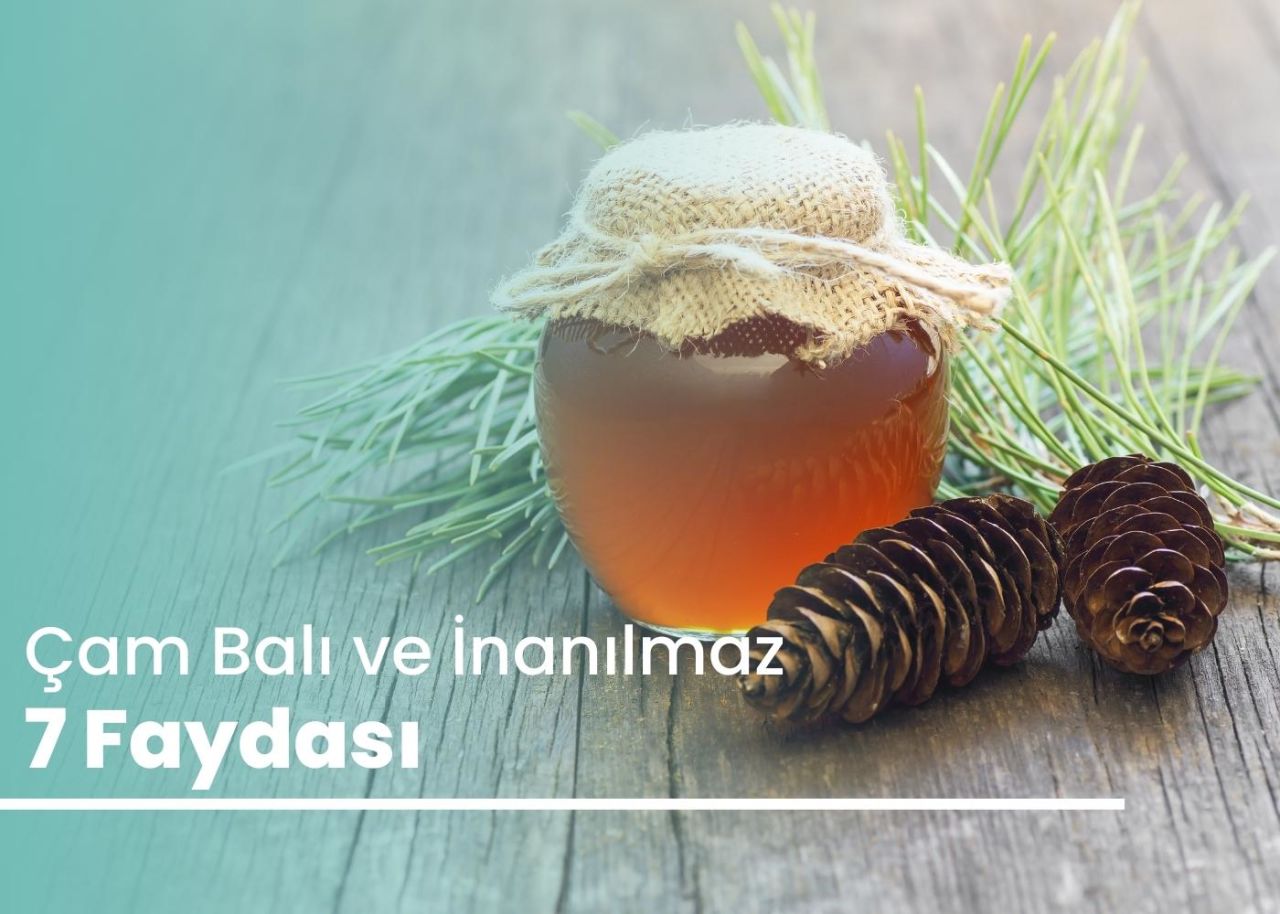 Çam Balının Faydaları