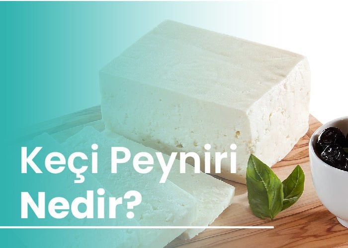 Keçi Peyniri Nedir?