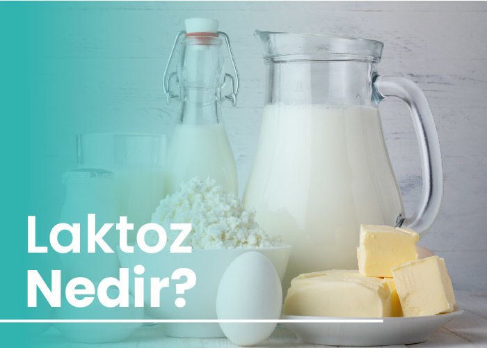 Laktoz Nedir?