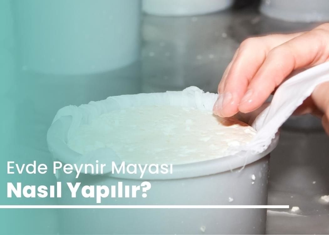 Evde Peynir Mayası Nasıl Yapılır?