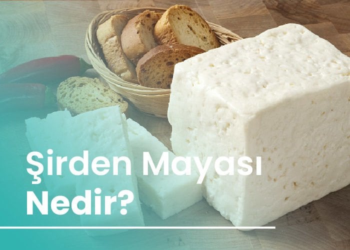 Şirden Mayası Nedir?