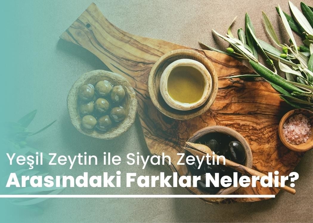Yeşil Zeytin ile Siyah Zeytin Arasındaki Farklar Nelerdir?