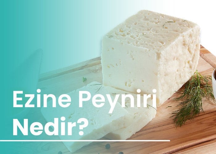 Ezine Peyniri Nedir