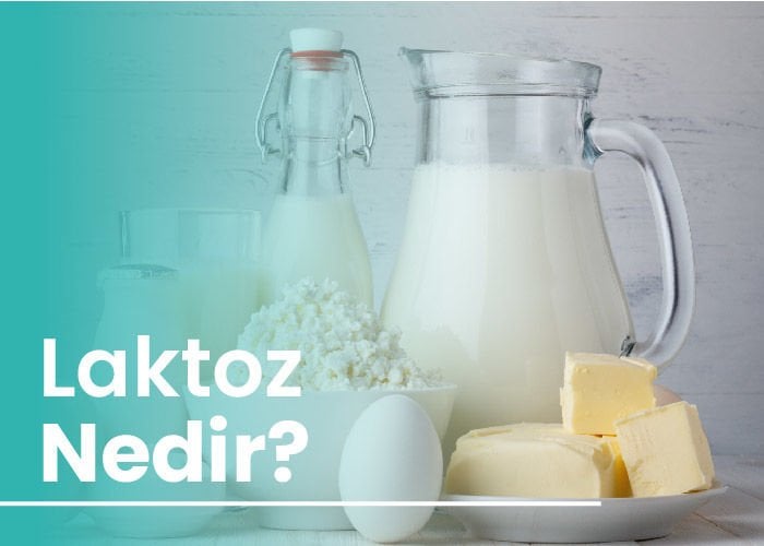 Laktoz Nedir?