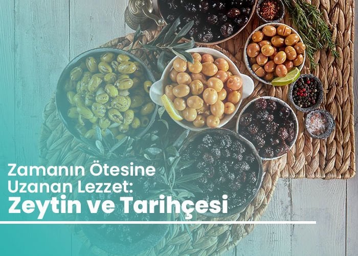 Zeytin ve Binlerce Yıllık Geçmişi